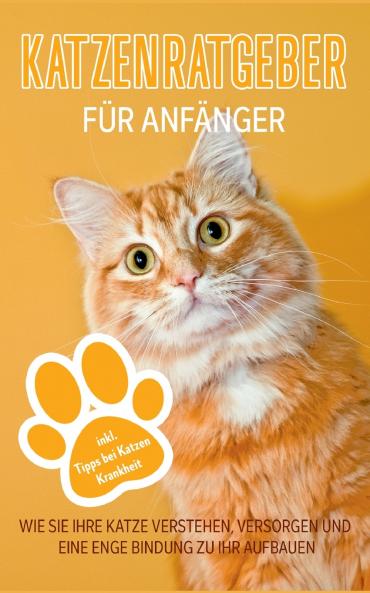 Katzenratgeber für Anfänger