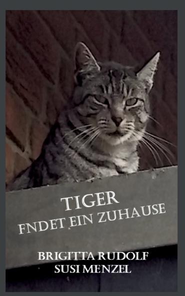 Tiger findet ein Zuhause