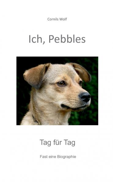 Ich Pebbles