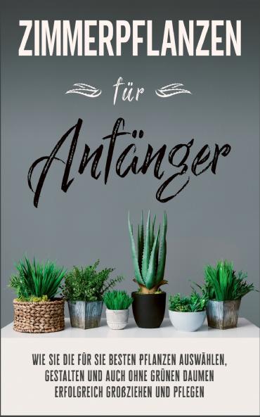 Zimmerpflanzen für Anfänger