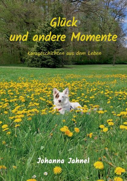 Glück und andere Momente