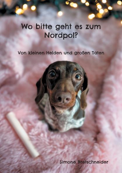 Wo bitte geht es zum Nordpol?