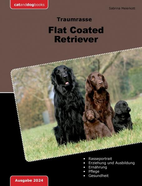 Traumrasse Flat Coated Retriever