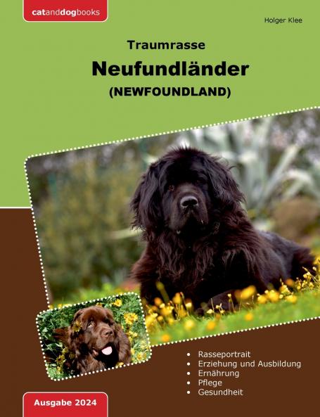 Traumrasse Neufundländer