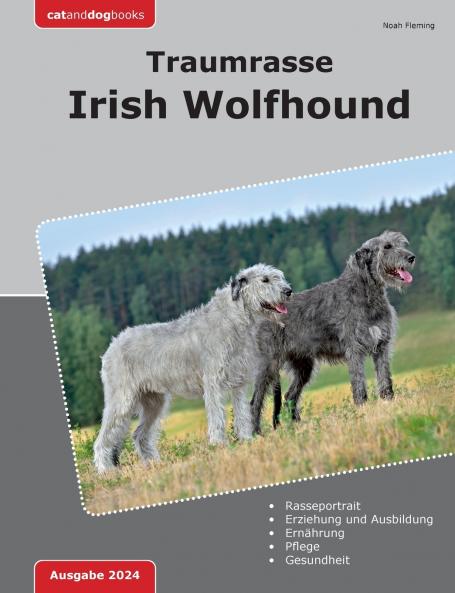 Traumrasse Irish Wolfhound