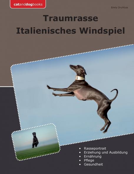 Traumrasse Italienisches Windspiel