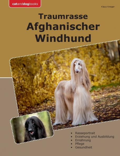 Traumrasse Afghanischer Windhund