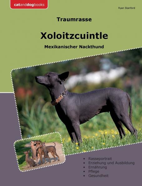 Traumrasse Xoloitzcuintle