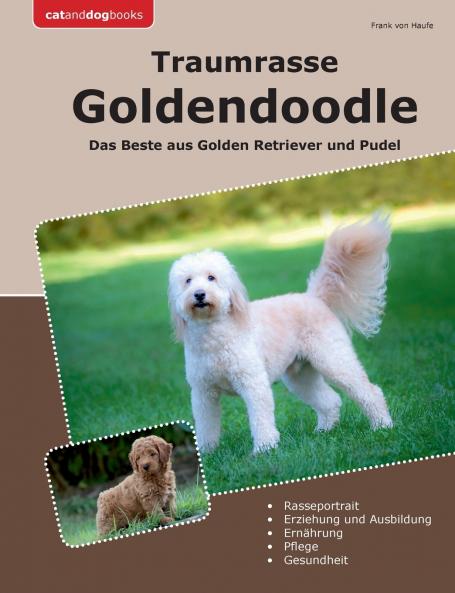 Traumrasse Goldendoodle