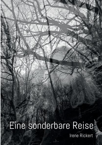 Eine sonderbare Reise