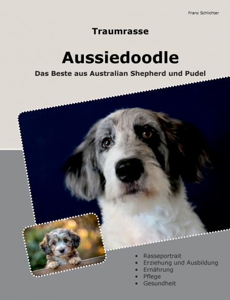Traumrasse Aussiedoodle