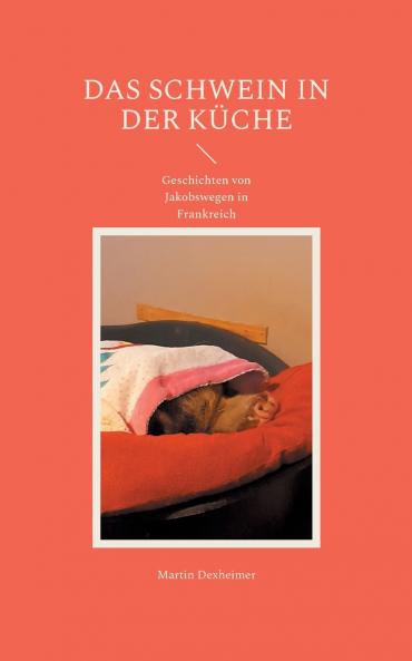 Das Schwein in der Küche