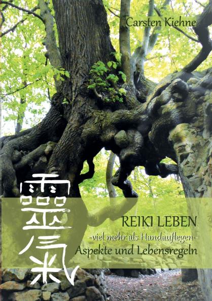 Reiki leben