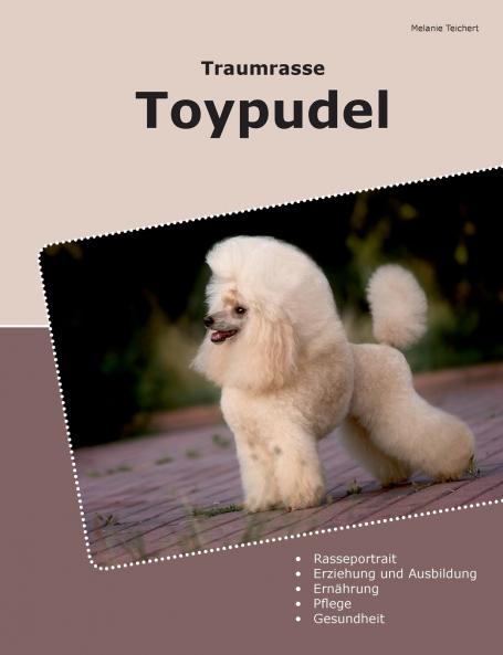 Traumrasse Toypudel
