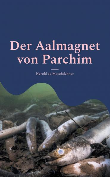 Der Aalmagnet von Parchim