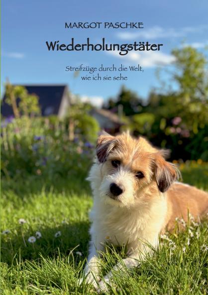 Wiederholungstäter