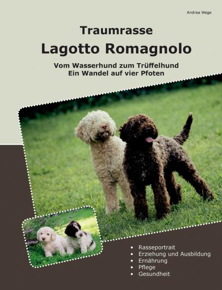 Traumrasse Lagotto Romagnolo
