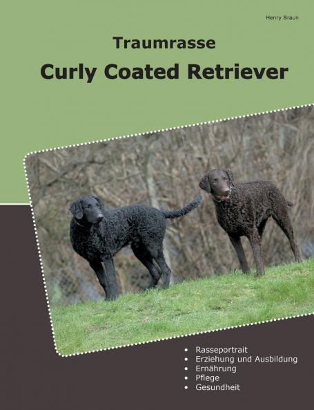 Traumrasse Curly Coated Retriever