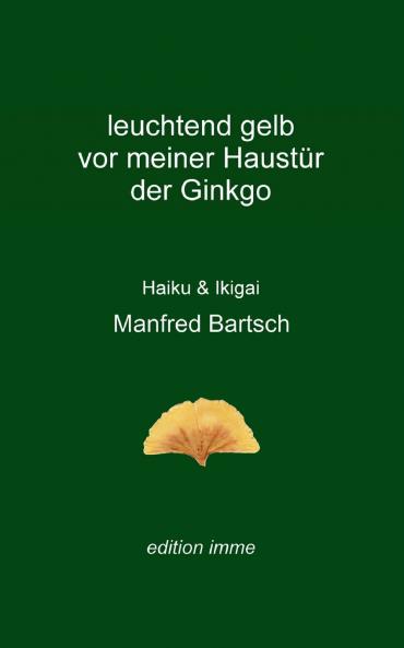leuchtend gelb vor meiner Haustür der Ginkgo