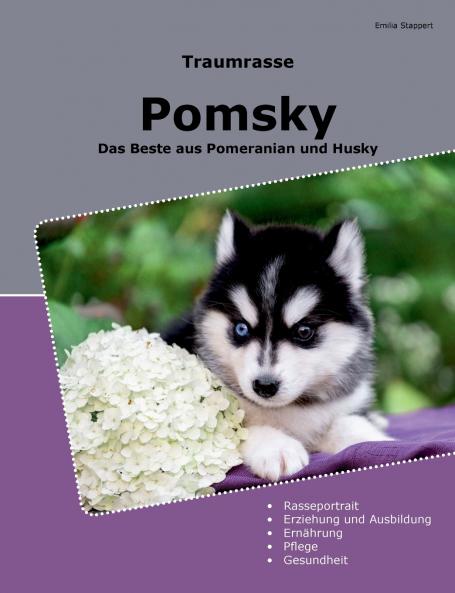 Traumrasse Pomsky