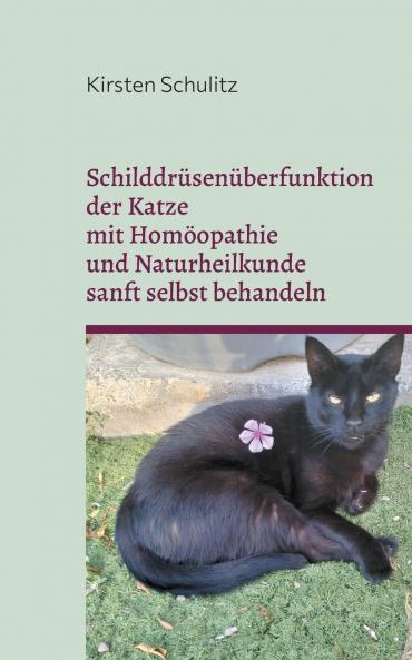 Schilddrüsenüberfunktion der Katze mit Homöopathie und Naturheilkunde sanft selbst behandeln