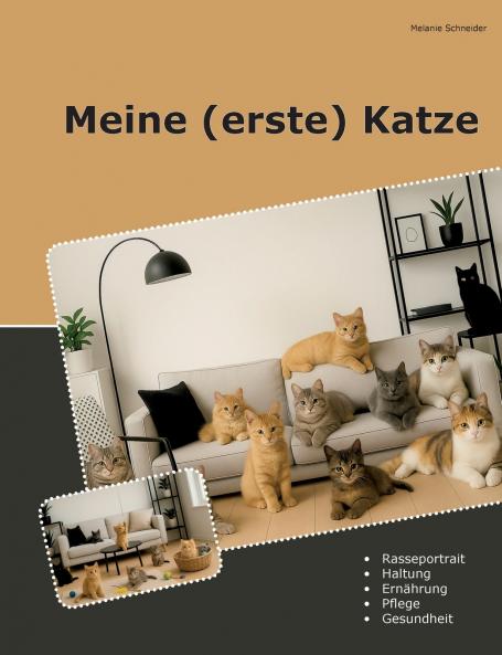 Meine (erste) Katze
