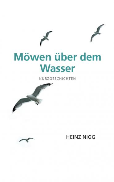 Möwen über dem Wasser