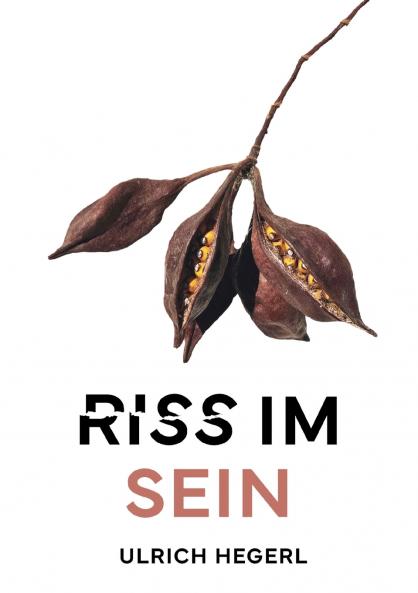 Riss im Sein