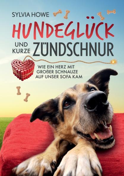 Hundeglück und kurze Zündschnur