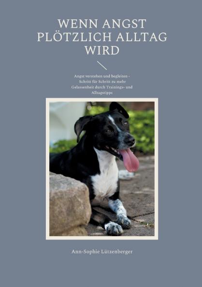 Wenn Angst plötzlich Alltag wird