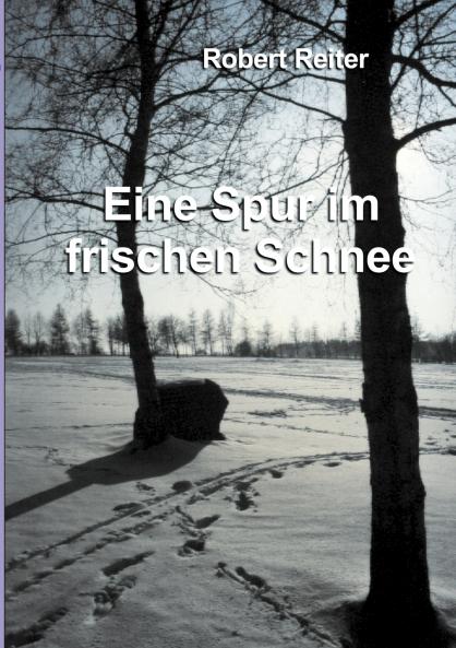 Eine Spur im frischen Schnee