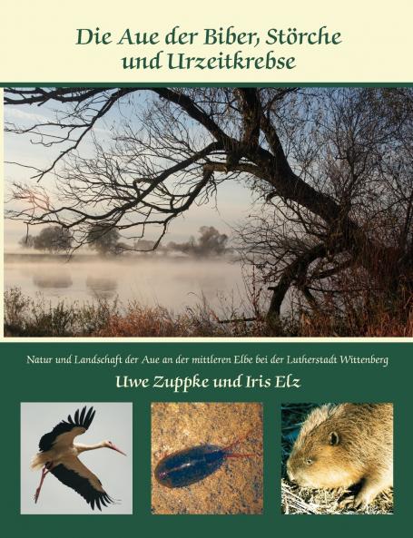 Die Aue der Biber Störche und Urzeitkrebse