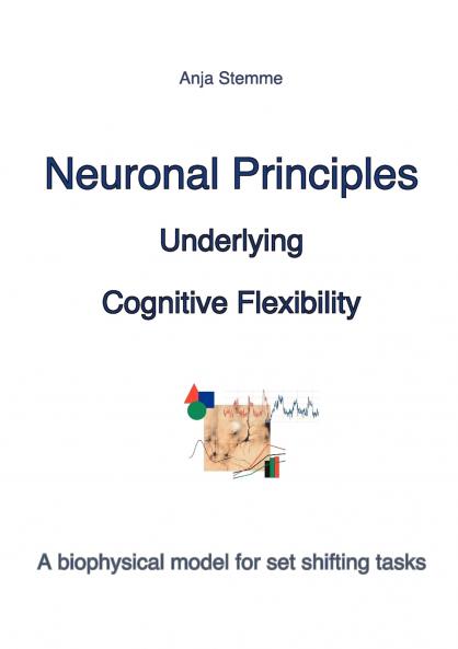 Neuronal principles underlying cognitive flexibility