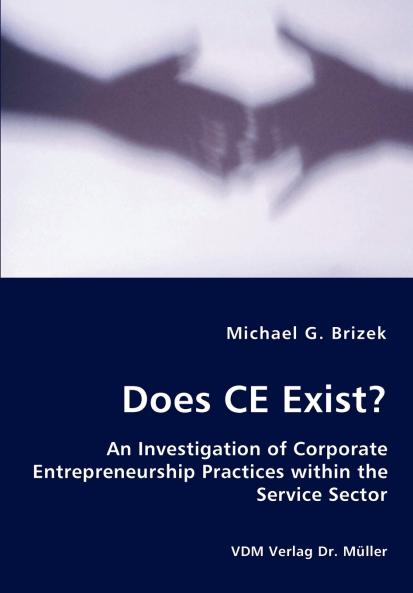 Does CE Exist? - An Investigation of Corporate Entrepreneurship Practices within the Service Sector