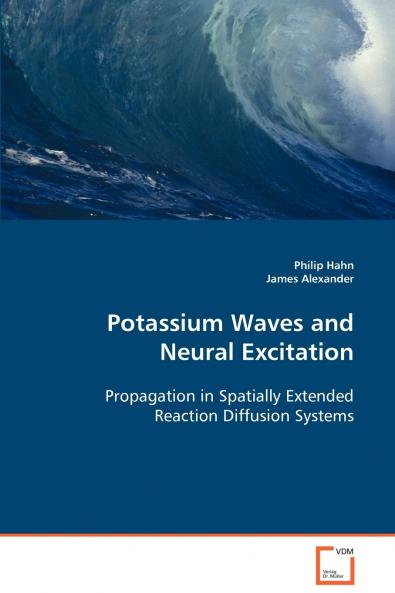 Potassium Waves and Neural Excitation