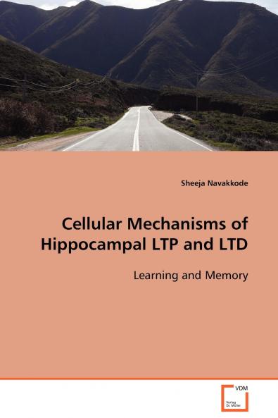 Cellular Mechanisms of Hippocampal LTP and LTD  Learning and Memory