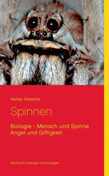 Spinnen