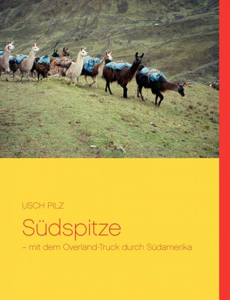 Südspitze