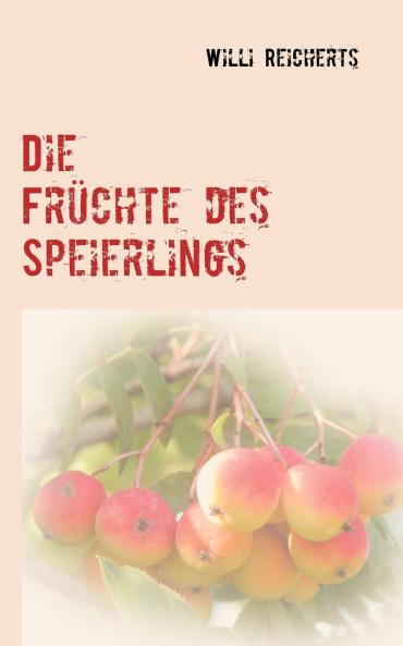 Die Früchte des Speierlings