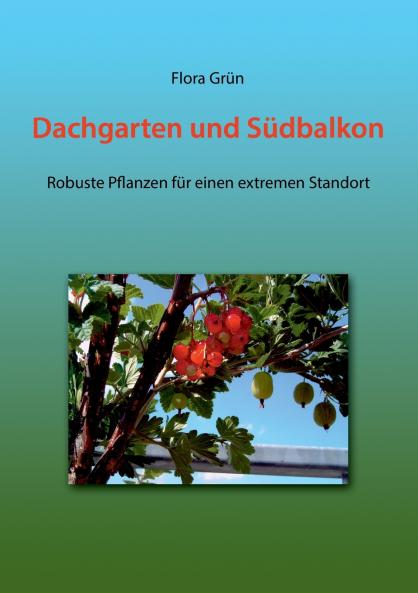 Dachgarten und Südbalkon