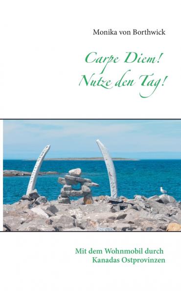 Carpe Diem! Nutze den Tag!