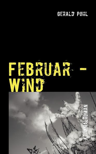 Februar - Wind