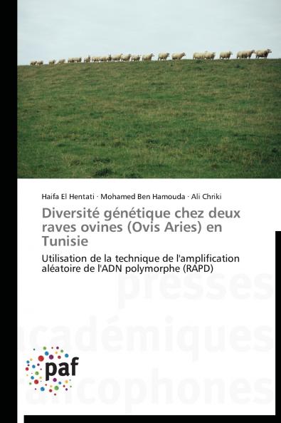 Diversité génétique chez deux raves ovines (ovis aries) en tunisie