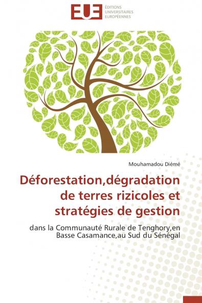 Déforestationdégradation de terres rizicoles et stratégies de gestion