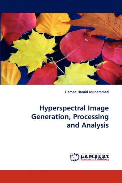 Hyperspectral Image Generation Processing and Analysis