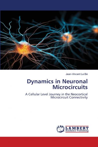 Dynamics in Neuronal Microcircuits