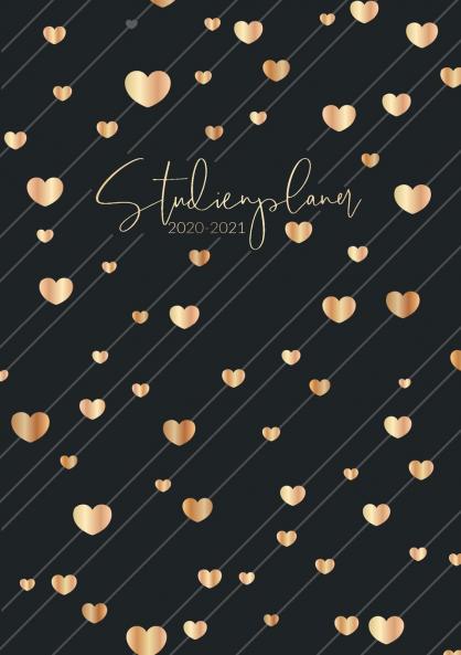 Studienplaner 2020-2021