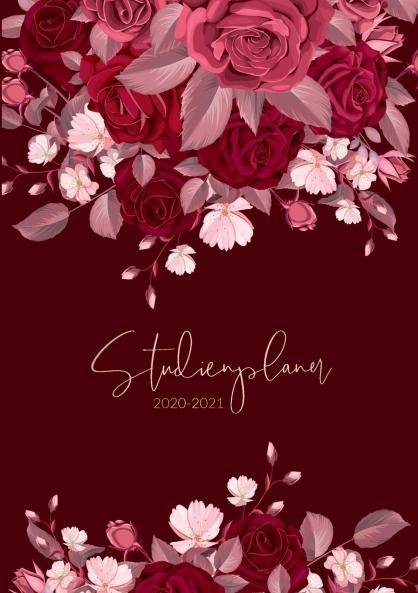 Studienplaner 2020-2021