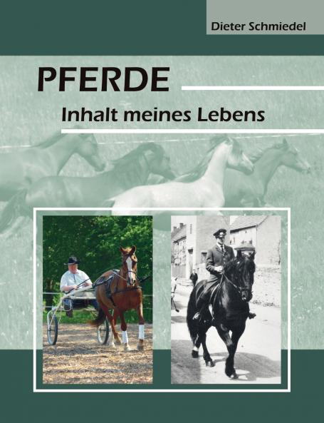 Pferde