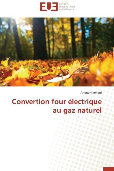 Convertion four électrique au gaz naturel